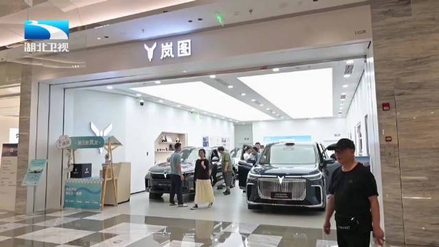 连续5个月破万!岚图汽车7月交付12135辆